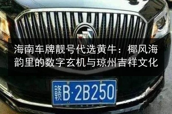 海南车牌靓号代选黄牛：椰风海韵里的数字玄机与琼州吉祥文化 第2张