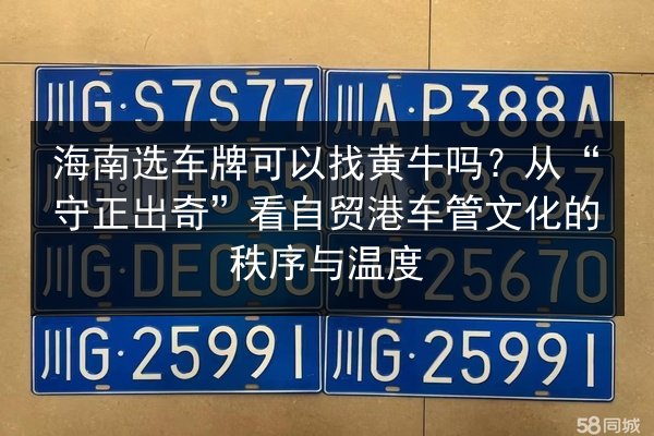 海南选车牌可以找黄牛吗？从“守正出奇”看自贸港车管文化的秩序与温度