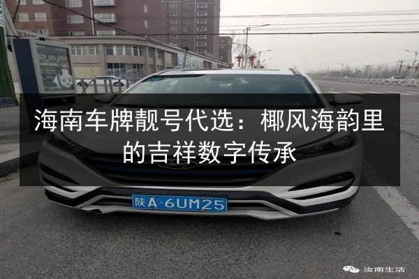 海南车牌靓号代选：椰风海韵里的吉祥数字传承 第2张
