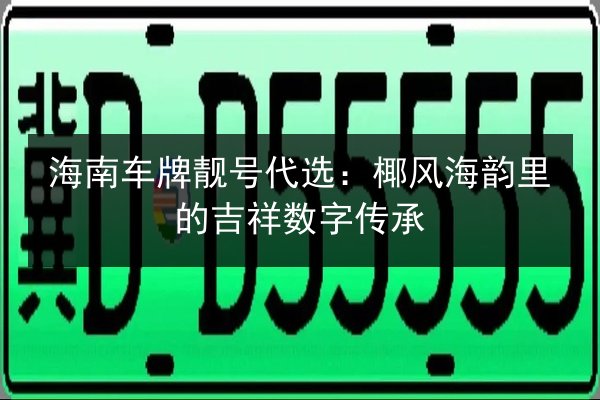海南车牌靓号代选：椰风海韵里的吉祥数字传承 第3张