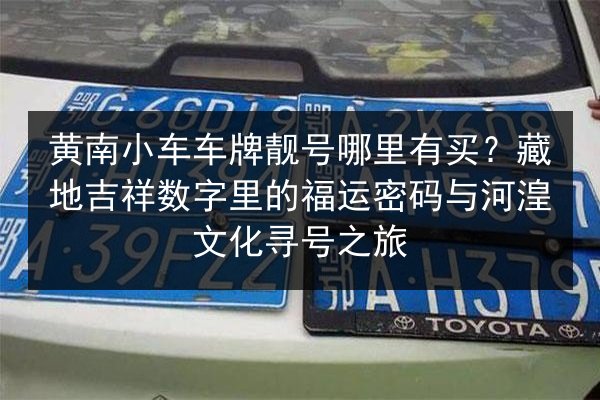 黄南小车车牌靓号哪里有买?藏地吉祥数字里的福运密码与河湟文化寻号之旅 第2张 黄南小车车牌靓号哪里有买?藏地吉祥数字里的福运密码与河湟文化寻号之旅 第2张