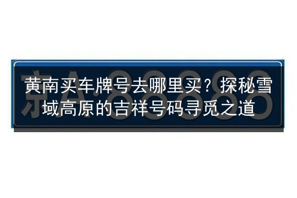 黄南买车牌号去哪里买?探秘雪域高原的吉祥号码寻觅之道 第2张 黄南买车牌号去哪里买?探秘雪域高原的吉祥号码寻觅之道 第2张