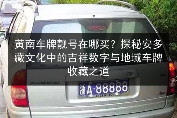 黄南车牌靓号在哪买？探秘安多藏文化中的吉祥数字与地域车牌收藏之道 第3张