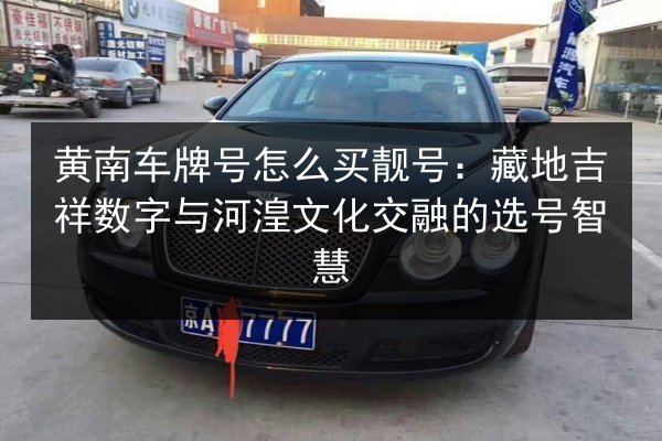 黄南车牌号怎么买靓号:藏地吉祥数字与河湟文化交融的选号智慧 第2张 黄南车牌号怎么买靓号:藏地吉祥数字与河湟文化交融的选号智慧 第2张