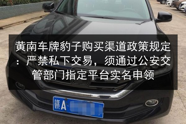 黄南车牌豹子购买渠道政策规定:严禁私下交易,须通过公安交管部门指定平台实名申领 第1张 黄南车牌豹子购买渠道政策规定:严禁私下交易,须通过公安交管部门指定平台实名申领 第1张