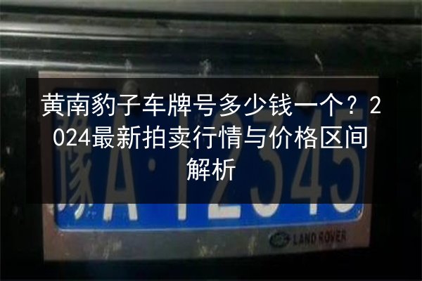 黄南豹子车牌号多少钱一个?2024最新拍卖行情与价格区间解析 第2张 黄南豹子车牌号多少钱一个?2024最新拍卖行情与价格区间解析 第2张