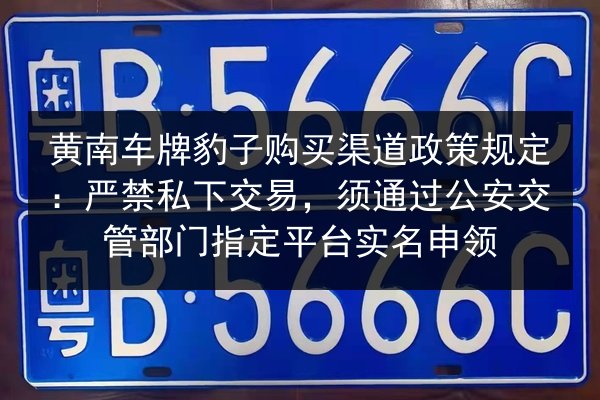 黄南车牌豹子购买渠道政策规定:严禁私下交易,须通过公安交管部门指定平台实名申领 第2张 黄南车牌豹子购买渠道政策规定:严禁私下交易,须通过公安交管部门指定平台实名申领 第2张