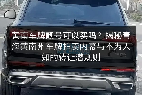 黄南车牌靓号可以买吗?揭秘青海黄南州车牌拍卖内幕与不为人知的转让潜规则 第2张 黄南车牌靓号可以买吗?揭秘青海黄南州车牌拍卖内幕与不为人知的转让潜规则 第2张
