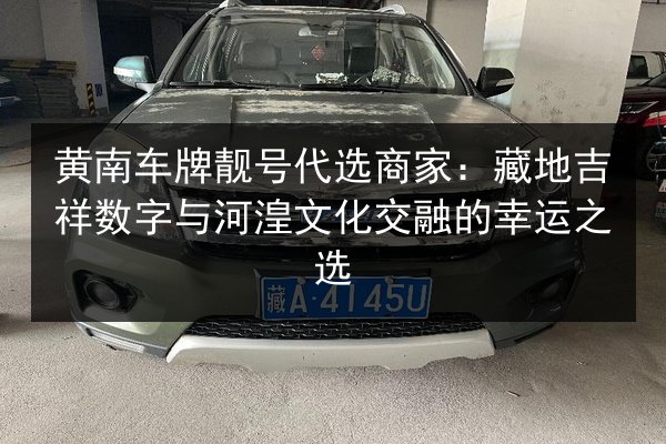 黄南车牌靓号代选商家:藏地吉祥数字与河湟文化交融的幸运之选 第2张 黄南车牌靓号代选商家:藏地吉祥数字与河湟文化交融的幸运之选 第2张