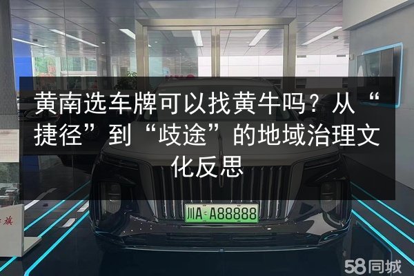 黄南选车牌可以找黄牛吗?从“捷径”到“歧途”的地域治理文化反思 第2张 黄南选车牌可以找黄牛吗?从“捷径”到“歧途”的地域治理文化反思 第2张