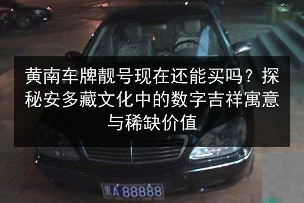 黄南车牌靓号现在还能买吗？探秘安多藏文化中的数字吉祥寓意与稀缺价值 第2张