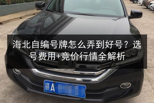 海北自编号牌怎么弄到好号？选号费用+竞价行情全解析 第2张