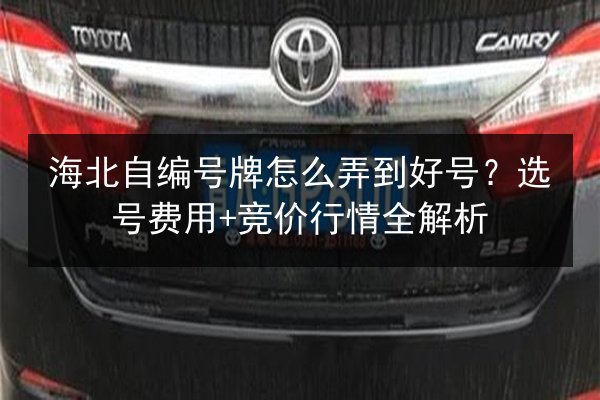 海北自编号牌怎么弄到好号？选号费用+竞价行情全解析 第3张