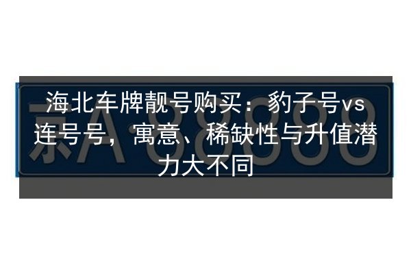海北车牌靓号购买：豹子号vs连号号，寓意、稀缺性与升值潜力大不同 第2张