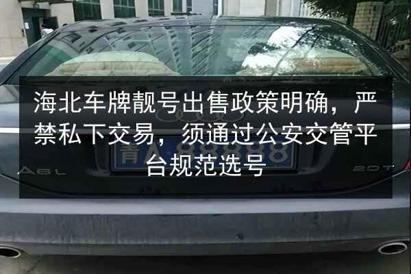 海北车牌靓号出售政策明确，严禁私下交易，须通过公安交管平台规范选号 第2张