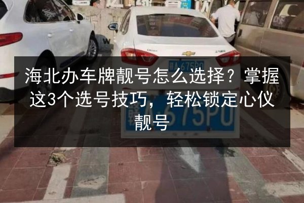 海北办车牌靓号怎么选择?掌握这3个选号技巧,轻松锁定心仪靓号 第2张 海北办车牌靓号怎么选择?掌握这3个选号技巧,轻松锁定心仪靓号 第2张