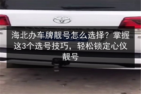 海北办车牌靓号怎么选择?掌握这3个选号技巧,轻松锁定心仪靓号 第3张 海北办车牌靓号怎么选择?掌握这3个选号技巧,轻松锁定心仪靓号 第3张