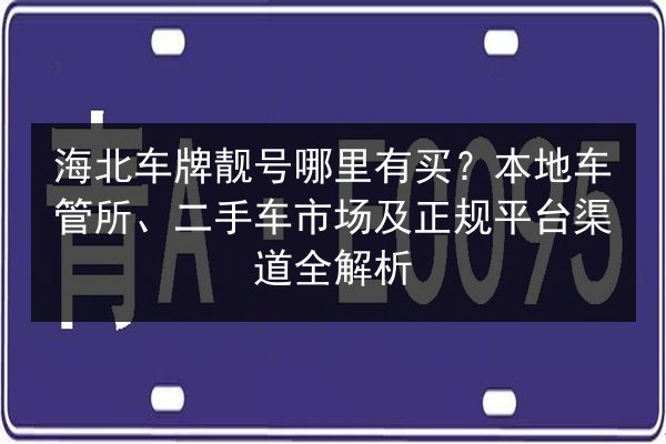海北车牌靓号哪里有买?本地车管所、二手车市场及正规平台渠道全解析 第2张 海北车牌靓号哪里有买?本地车管所、二手车市场及正规平台渠道全解析 第2张