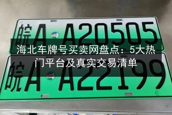 海北车牌号买卖网盘点:5大热门平台及真实交易清单 第2张 海北车牌号买卖网盘点:5大热门平台及真实交易清单 第2张