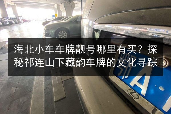 海北小车车牌靓号哪里有买?探秘祁连山下藏韵车牌的文化寻踪 第2张 海北小车车牌靓号哪里有买?探秘祁连山下藏韵车牌的文化寻踪 第2张