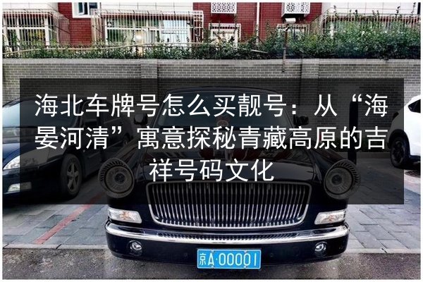 海北车牌号怎么买靓号:从“海晏河清”寓意探秘青藏高原的吉祥号码文化 第2张 海北车牌号怎么买靓号:从“海晏河清”寓意探秘青藏高原的吉祥号码文化 第2张