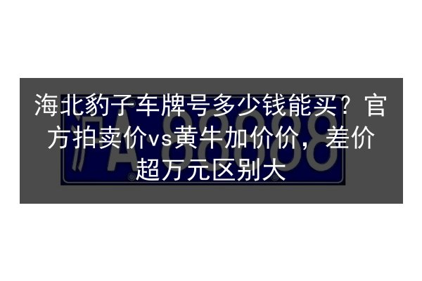 海北豹子车牌号多少钱能买？官方拍卖价vs黄牛加价价，差价超万元区别大 第2张