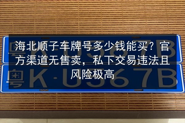 海北顺子车牌号多少钱能买？官方渠道无售卖，私下交易违法且风险极高 第1张