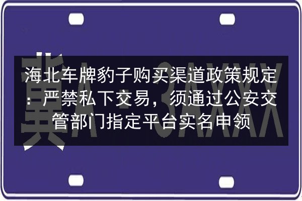 海北车牌豹子购买渠道政策规定：严禁私下交易，须通过公安交管部门指定平台实名申领 第2张
