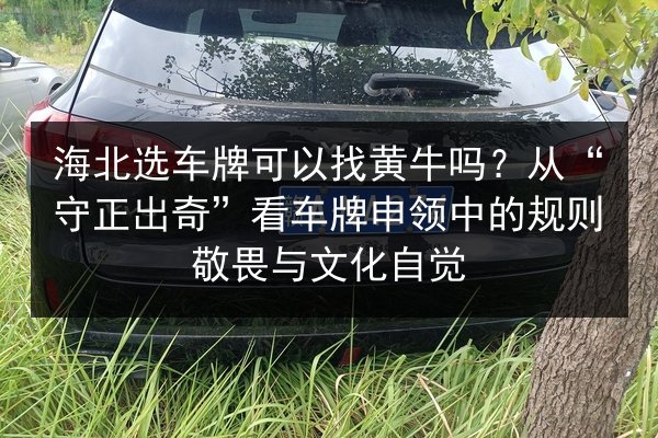 海北选车牌可以找黄牛吗？从“守正出奇”看车牌申领中的规则敬畏与文化自觉 第2张