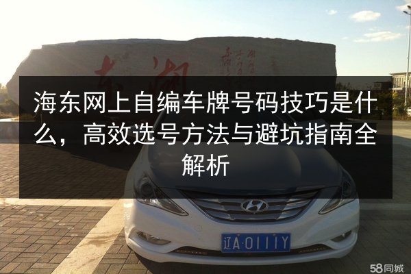 海东网上自编车牌号码技巧是什么,高效选号方法与避坑指南全解析 第2张 海东网上自编车牌号码技巧是什么,高效选号方法与避坑指南全解析 第2张