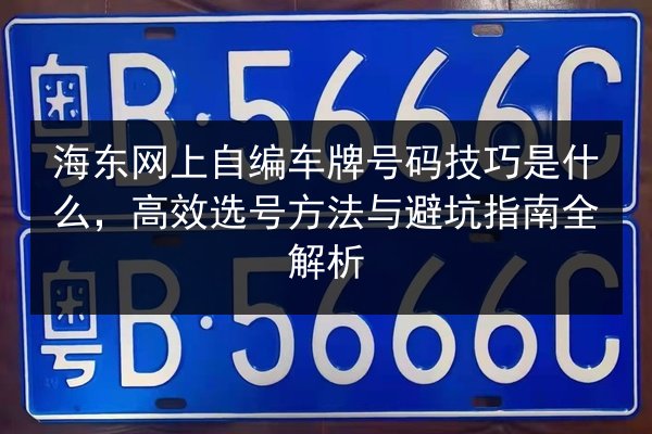 海东网上自编车牌号码技巧是什么,高效选号方法与避坑指南全解析 第3张 海东网上自编车牌号码技巧是什么,高效选号方法与避坑指南全解析 第3张