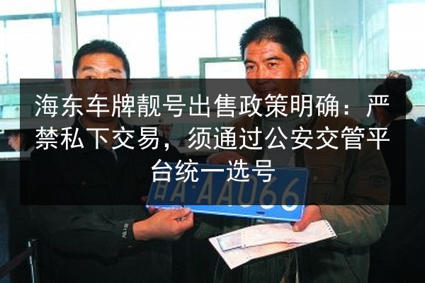 海东车牌靓号出售政策明确：严禁私下交易，须通过公安交管平台统一选号