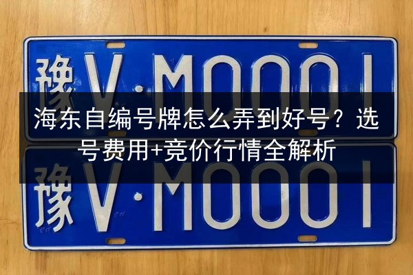 海东自编号牌怎么弄到好号?选号费用+竞价行情全解析 第2张 海东自编号牌怎么弄到好号?选号费用+竞价行情全解析 第2张