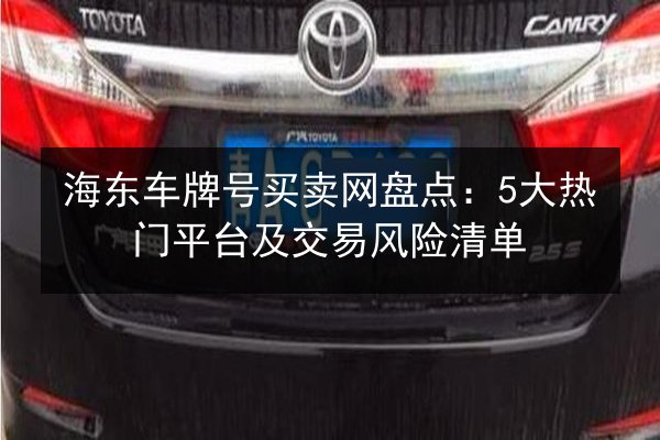 海东车牌号买卖网盘点：5大热门平台及交易风险清单 第2张