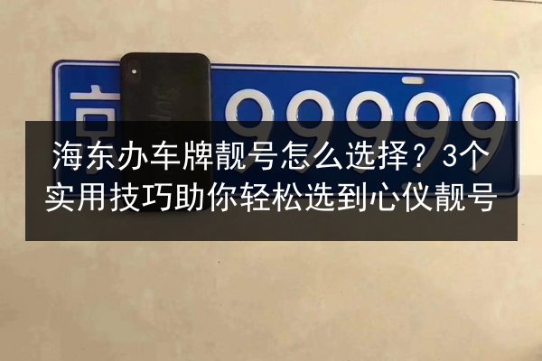海东办车牌靓号怎么选择?3个实用技巧助你轻松选到心仪靓号 第2张 海东办车牌靓号怎么选择?3个实用技巧助你轻松选到心仪靓号 第2张