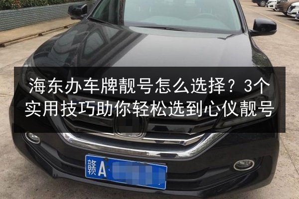 海东办车牌靓号怎么选择?3个实用技巧助你轻松选到心仪靓号 第3张 海东办车牌靓号怎么选择?3个实用技巧助你轻松选到心仪靓号 第3张