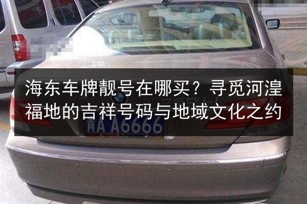 海东车牌靓号在哪买?寻觅河湟福地的吉祥号码与地域文化之约 第2张 海东车牌靓号在哪买?寻觅河湟福地的吉祥号码与地域文化之约 第2张