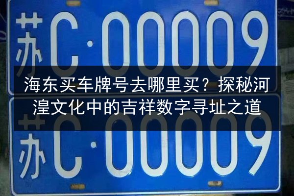 海东买车牌号去哪里买？探秘河湟文化中的吉祥数字寻址之道 第3张