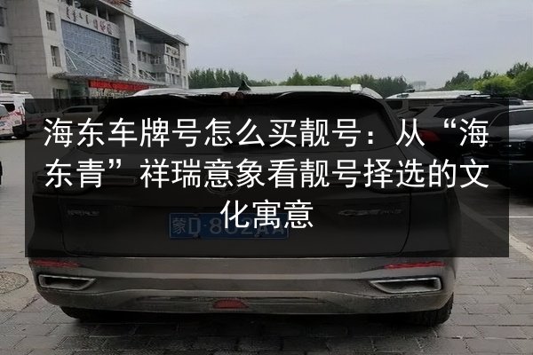 海东车牌号怎么买靓号:从“海东青”祥瑞意象看靓号择选的文化寓意 第2张 海东车牌号怎么买靓号:从“海东青”祥瑞意象看靓号择选的文化寓意 第2张