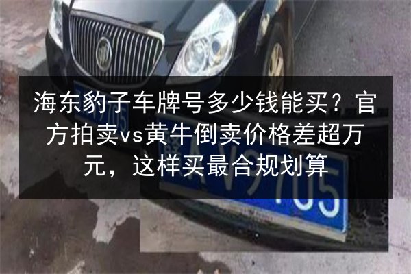 海东豹子车牌号多少钱能买？官方拍卖vs黄牛倒卖价格差超万元，这样买最合规划算 第2张