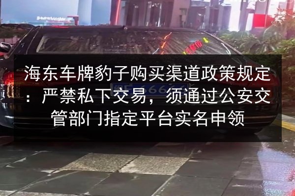 海东车牌豹子购买渠道政策规定：严禁私下交易，须通过公安交管部门指定平台实名申领 第2张