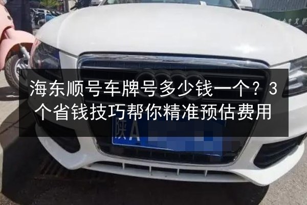 海东顺号车牌号多少钱一个?3个省钱技巧帮你精准预估费用 第2张 海东顺号车牌号多少钱一个?3个省钱技巧帮你精准预估费用 第2张