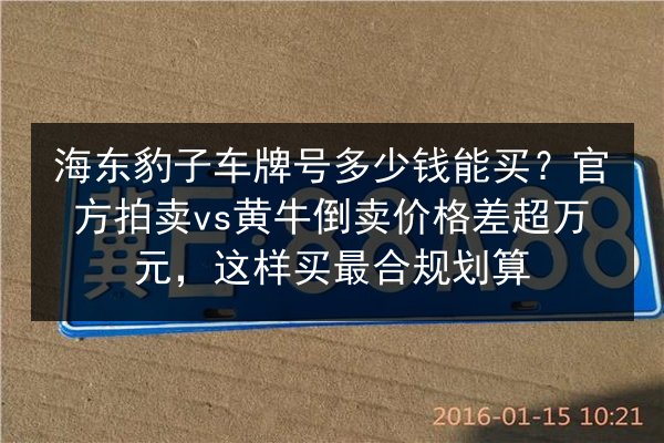 海东豹子车牌号多少钱能买？官方拍卖vs黄牛倒卖价格差超万元，这样买最合规划算 第3张