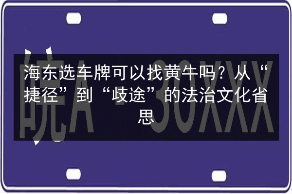 海东选车牌可以找黄牛吗?从“捷径”到“歧途”的法治文化省思 第3张 海东选车牌可以找黄牛吗?从“捷径”到“歧途”的法治文化省思 第3张
