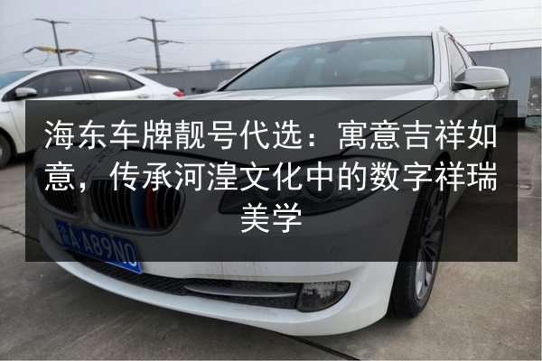 海东车牌靓号代选：寓意吉祥如意，传承河湟文化中的数字祥瑞美学 第3张