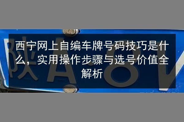 西宁网上自编车牌号码技巧是什么，实用操作步骤与选号价值全解析