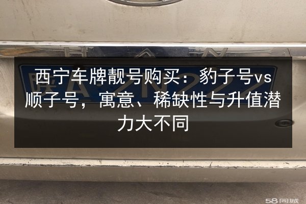 西宁车牌靓号购买：豹子号vs顺子号，寓意、稀缺性与升值潜力大不同