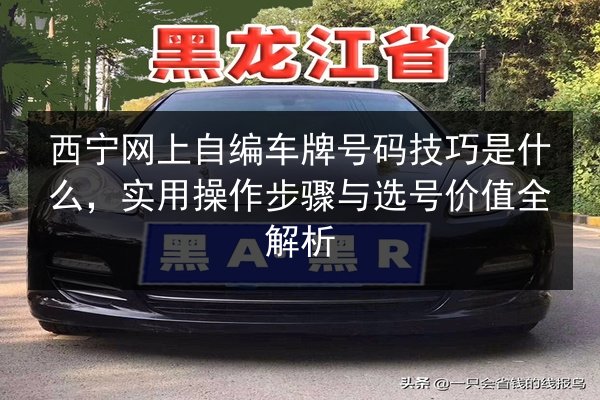 西宁网上自编车牌号码技巧是什么,实用操作步骤与选号价值全解析 第2张 西宁网上自编车牌号码技巧是什么,实用操作步骤与选号价值全解析 第2张