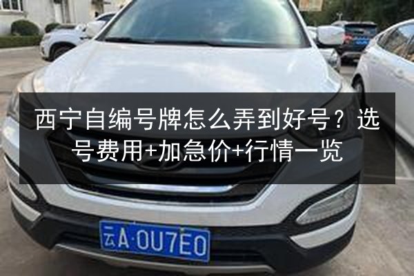 西宁自编号牌怎么弄到好号?选号费用+加急价+行情一览 第2张 西宁自编号牌怎么弄到好号?选号费用+加急价+行情一览 第2张