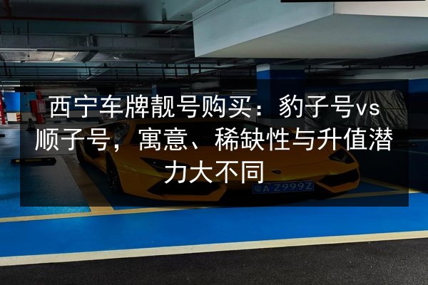 西宁车牌靓号购买:豹子号vs顺子号,寓意、稀缺性与升值潜力大不同 第2张 西宁车牌靓号购买:豹子号vs顺子号,寓意、稀缺性与升值潜力大不同 第2张